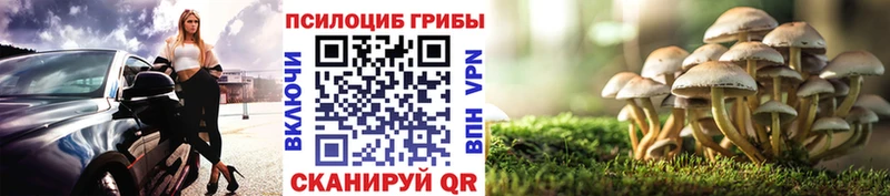 Галлюциногенные грибы MAGIC MUSHROOMS  наркотики  MEGA   площадка телеграм  Бабаево 